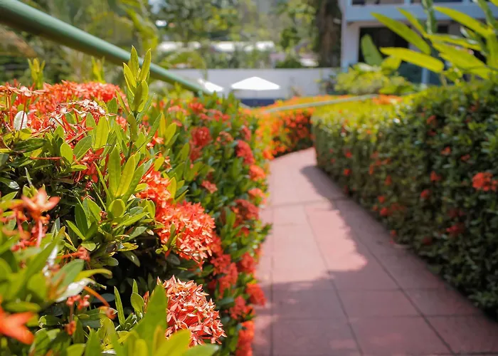 Hotel Divisamar By Lhr